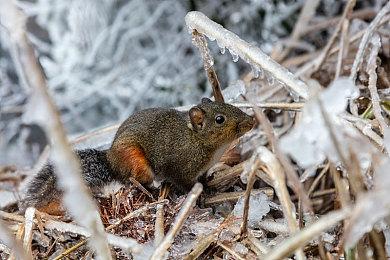 VR第一人称射击游戏《X8》新增PSVR 2版本