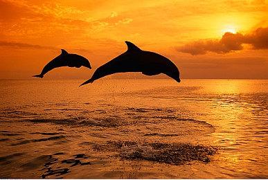 《大富翁11》正式公布 今年内登陆Steam和Switch