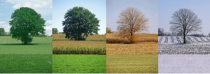 创米哈游最高记录！《绝区零》预约数破4000万：7月4日公测